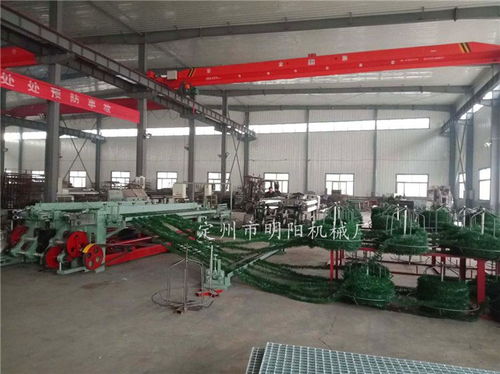 草坪六角網(wǎng)機廠家 草坪六角網(wǎng) 定州市明陽機械廠