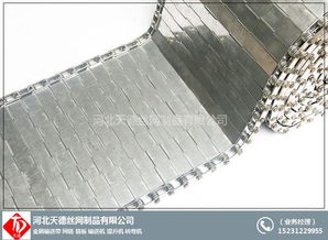 不銹鋼傳送帶與絲網(wǎng)制品 茄盒油炸輸送機及進出口業(yè)務(wù)全解析